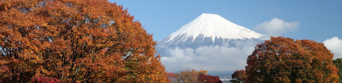 みのハイキングクラブ