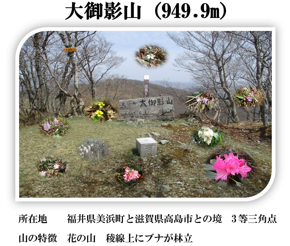 クラブ山行(2024.4.20)