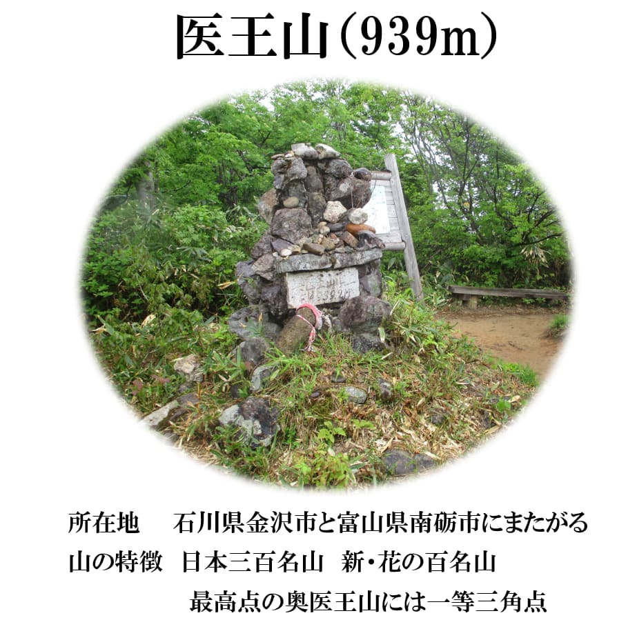 クラブ山行(2024.5.12)