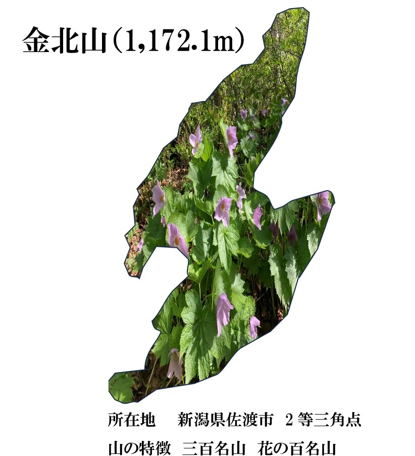 クラブ山行(2024.5.5)